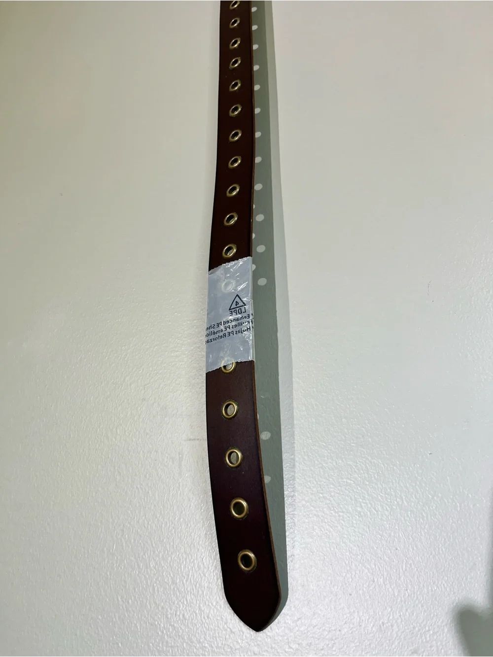 Frye brand new